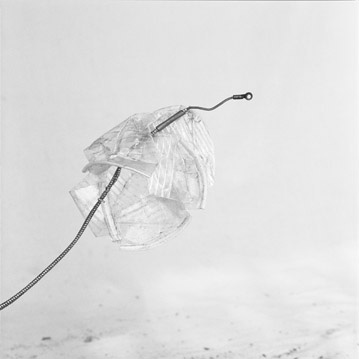 Fin de otoño, 2010 // Silver gelatin print