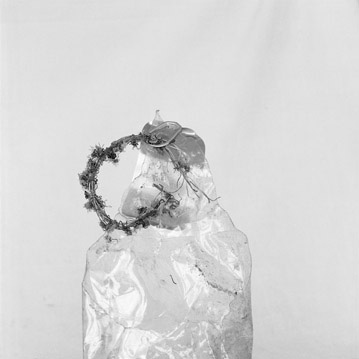 Restos de primavera, 2010 // Silver gelatin print