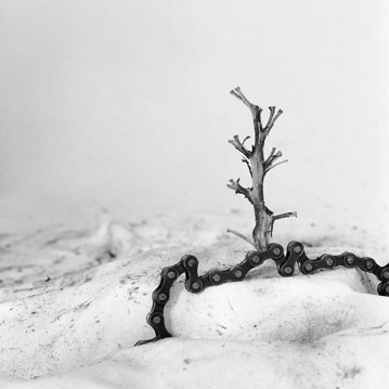 Febrero, 2010 // Silver gelatin print