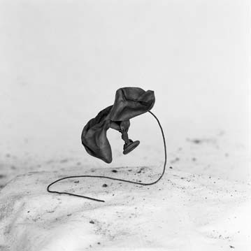 Gaviota, 2010 // Silver gelatin print