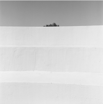 S/T, 2007  Gelatina de plata, Virada al  selenio 44 x 44 cm.
