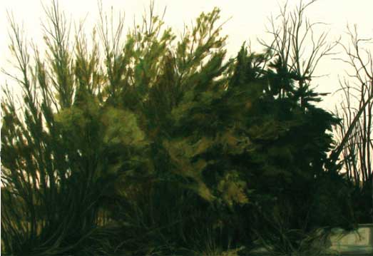 Alberto Pina Detrás del jardín (2006). Óleo lienzo, 89 x 130 cm.