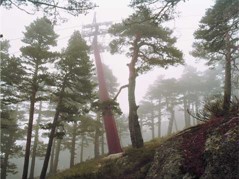 Navacerrada 1 (2003) copia lambda sobre aluminio, 75x100 cm.