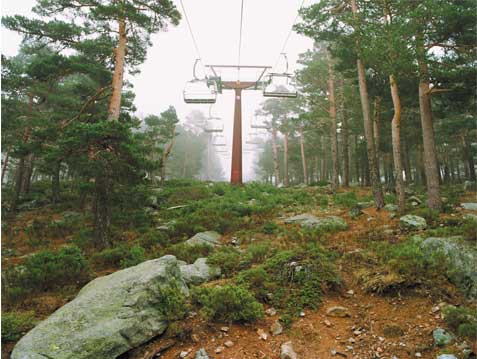 Navacerrada 2 (2003) copia lambda sobre aluminio, 75x100 cm.