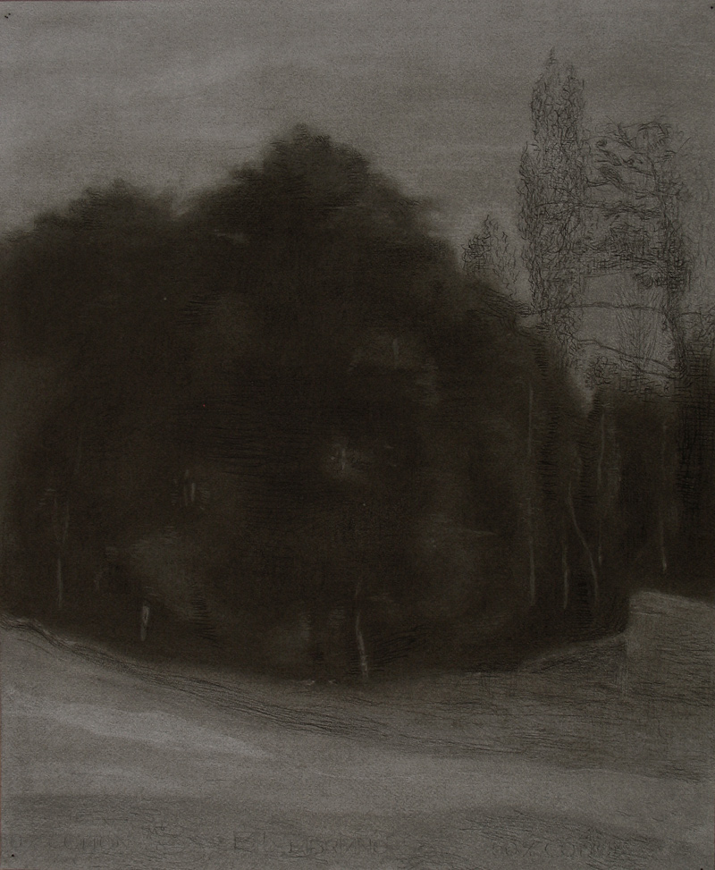 Miguel Galano. Ville d’Avray, 2006, carbón sobre papel, 60,5x50 cm. 