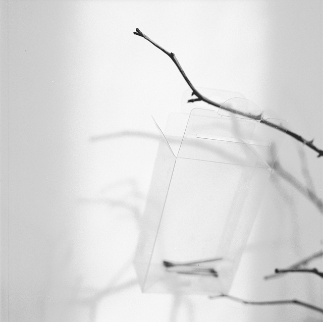 Erika Babatz Galgenvogel, 2010 - P.A. de la serie Tarde o temprano ,gelatina de plata,25x25 cm