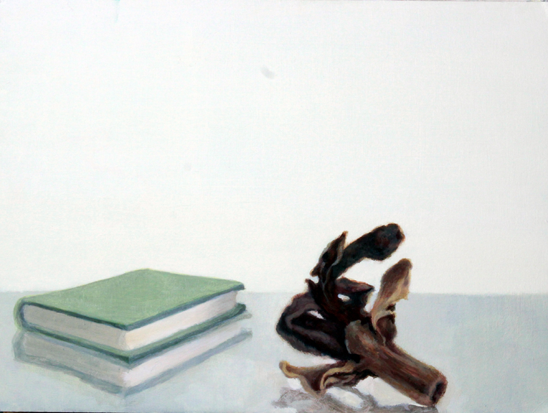 Libro y semilla oscura (2015). Óleo/cartón, 24 x 32 cm.