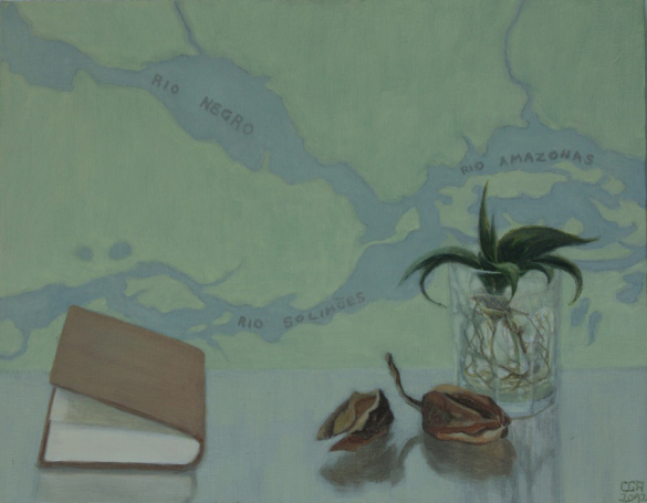 Semillas, libro y mapa (2012). Óleo/lienzo, 27 x 35 cm.