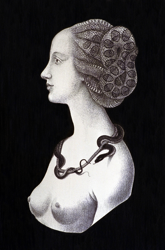 Marina Núñez, Serie Medusas, 1994, Sin título (siniestro)”. Grafito sobre papel, 110x73 cm.    