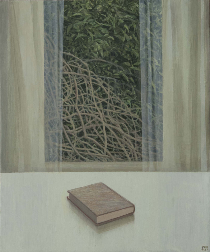 Ventana y libro, 2018, óleo / lienzo, 60 x 50 cm.