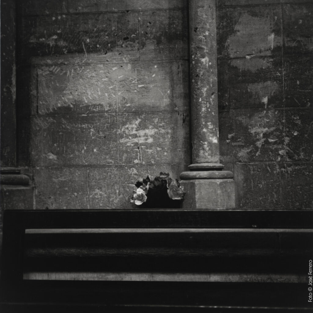 José Ferrero. S/T 2019. Fotografía analógica. Papel cloro-bromuro, virado al selenio.,30x30cm (imagen 15x15cm)