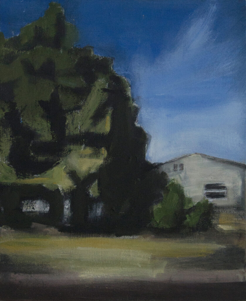 Enebro - Óleo sobre lienzo. 30x24 cm.